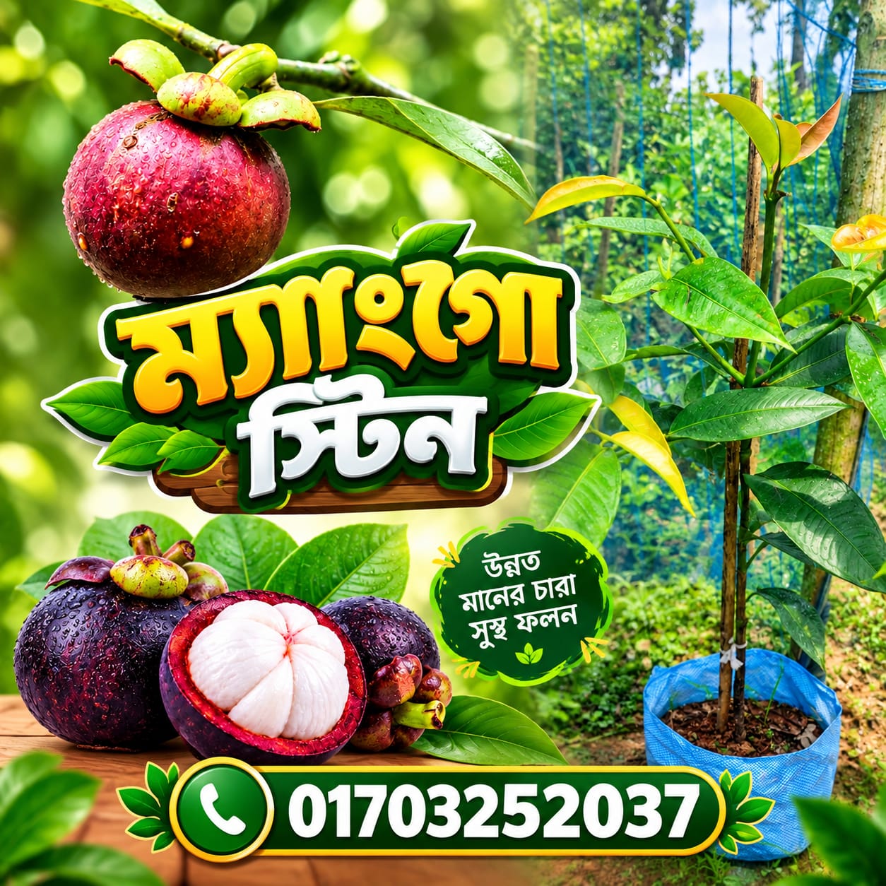 WhatsApp-Image-2026-09-19-at-2.20.27-PM.jpeg