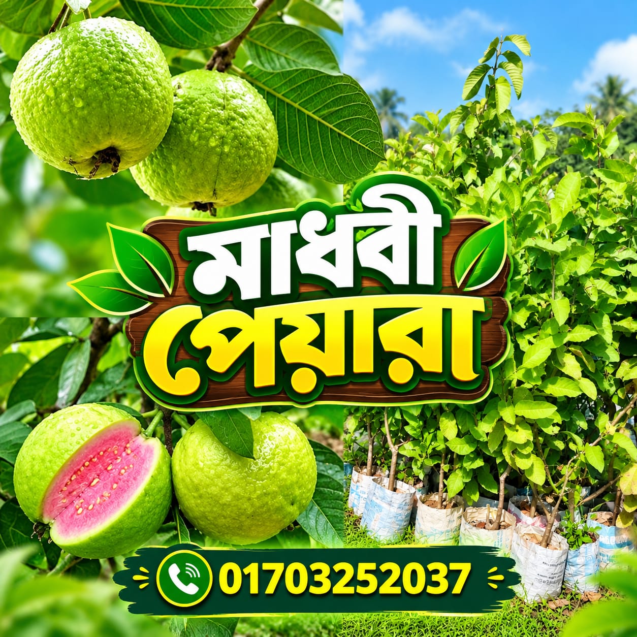 WhatsApp-Image-2026-09-19-at-2.20.29-PM.jpeg
