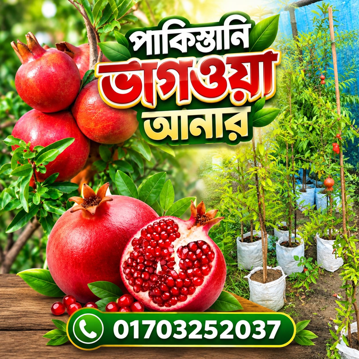 WhatsApp-Image-2026-09-19-at-2.20.32-PM.jpeg