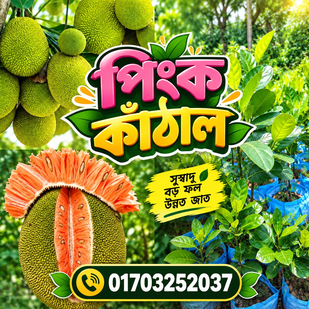 WhatsApp-Image-2026-09-19-at-2.20.34-PM.jpeg